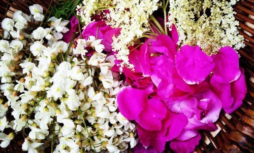 Jadalne kwiaty